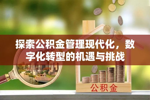 勐腊探索公积金管理现代化，数字化转型的机遇与挑战