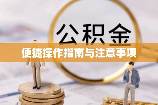 勐腊便捷操作指南与注意事项